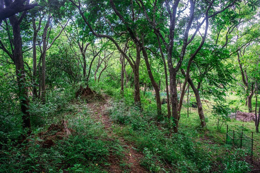 Вилла Wildescape Полоннарува Экстерьер фото